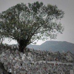 慾 HBeat139 Project