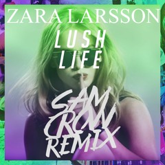 Zara Larsson - Lush Life (Sam Crow Remix)