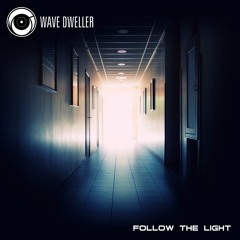Follow The Light