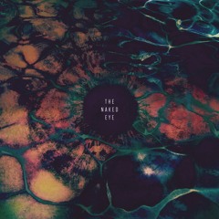 Production and Songwriting Collaborations