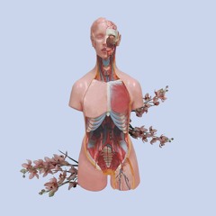 Jon Eriksen - Shadowanthems - 01 Rabbit Hole