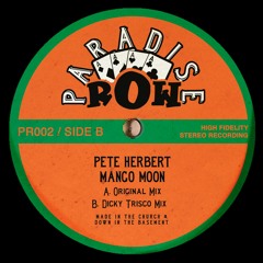 Pete Herbert - Mango Moon (Dicky Trisco Mix) - Clip