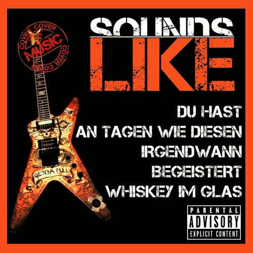 Listen to Tage Wie Diese (Die Toten Hosen Cover) by SoundsLike in  Rock/Alternative Cover Music playlist online for free on SoundCloud