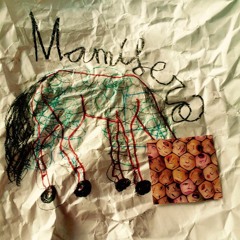 Mamífero - Almuerzo En Casa De Bertín