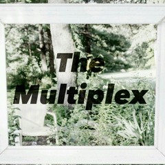 Fazi & The Mad Man - The Multiplex