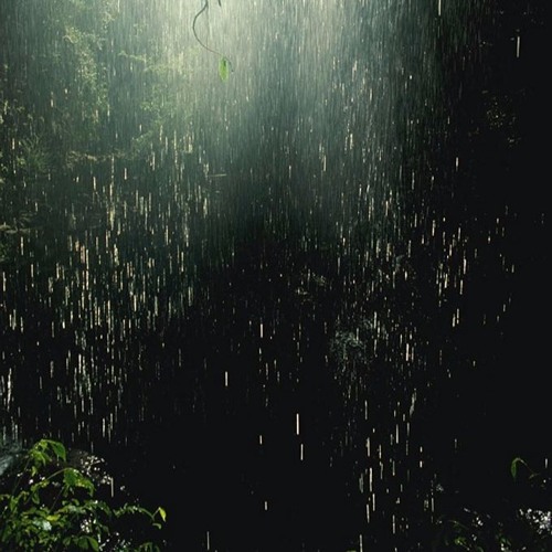 Amazonas (Original Mix)