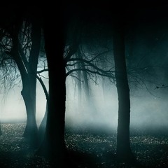 LidrEX - Unmarked Locations
