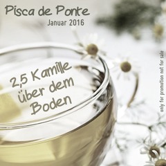 Pisca de Ponte - 2,5 Kamille über dem Boden