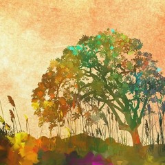 The Sorcerer's Discovery