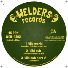Wild World - Massive Dub Corporation