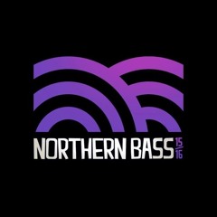 Machinedrum @ Northern Bass festival NZ NYE