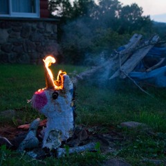 Not Now, Ambien Walrus