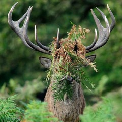 Ruce Bwayne - NN02 120.bpm (Work in progress)