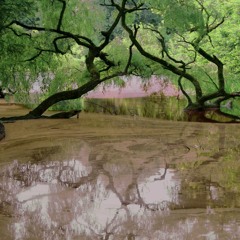 Ado @ PureRadio/GrooveStation