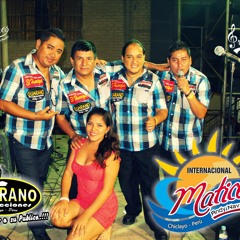 Internacional Matices - Mix Claveles N4 Y Equivocado