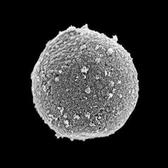 We prefer Tech house