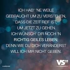 Geiles Leben (The Woo Mash - Up)