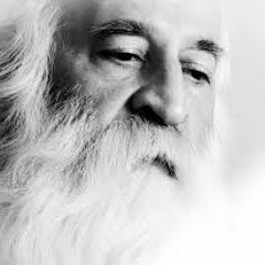 پیش درامد ابوعطا محمدرضا لطفی