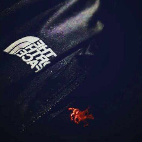 Ultimate buzz bounce master