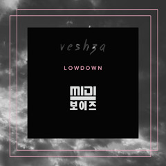VESHZA - Lowdown