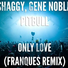 Shaggy, Gene Noble & Pitbull "Only Love" (Bogdan Ioan Remix)