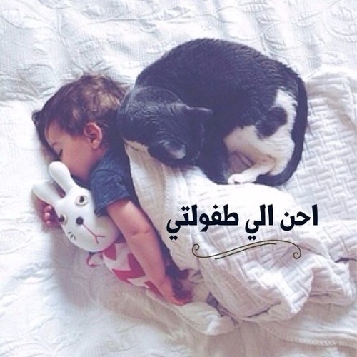 أيا مركز النور