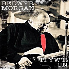 Ti Yw'r Un - Bedwyr Morgan