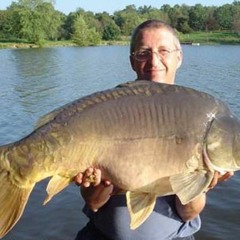 Off The Barbs