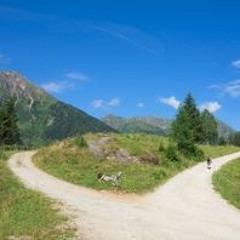 Back Roads Rough Demo