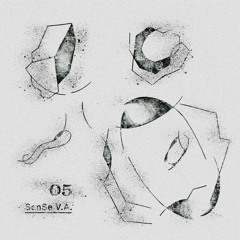 Cerebellum - SenSe V.A 05 - 03 -