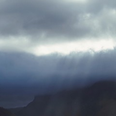 the july skies followed us here / hakobune