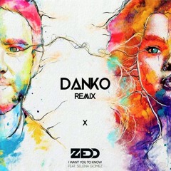 Zedd Ft. Selena Gomez - I Want You To Know (Danko Remix)