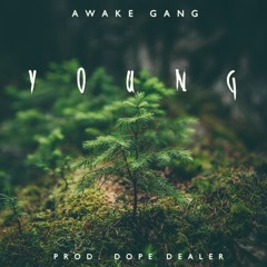 Galaxy & Mesafee | Young (Prod. Dope Dealer)