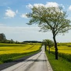 Pytch Wyte Ft Push & FluShot - Country Road