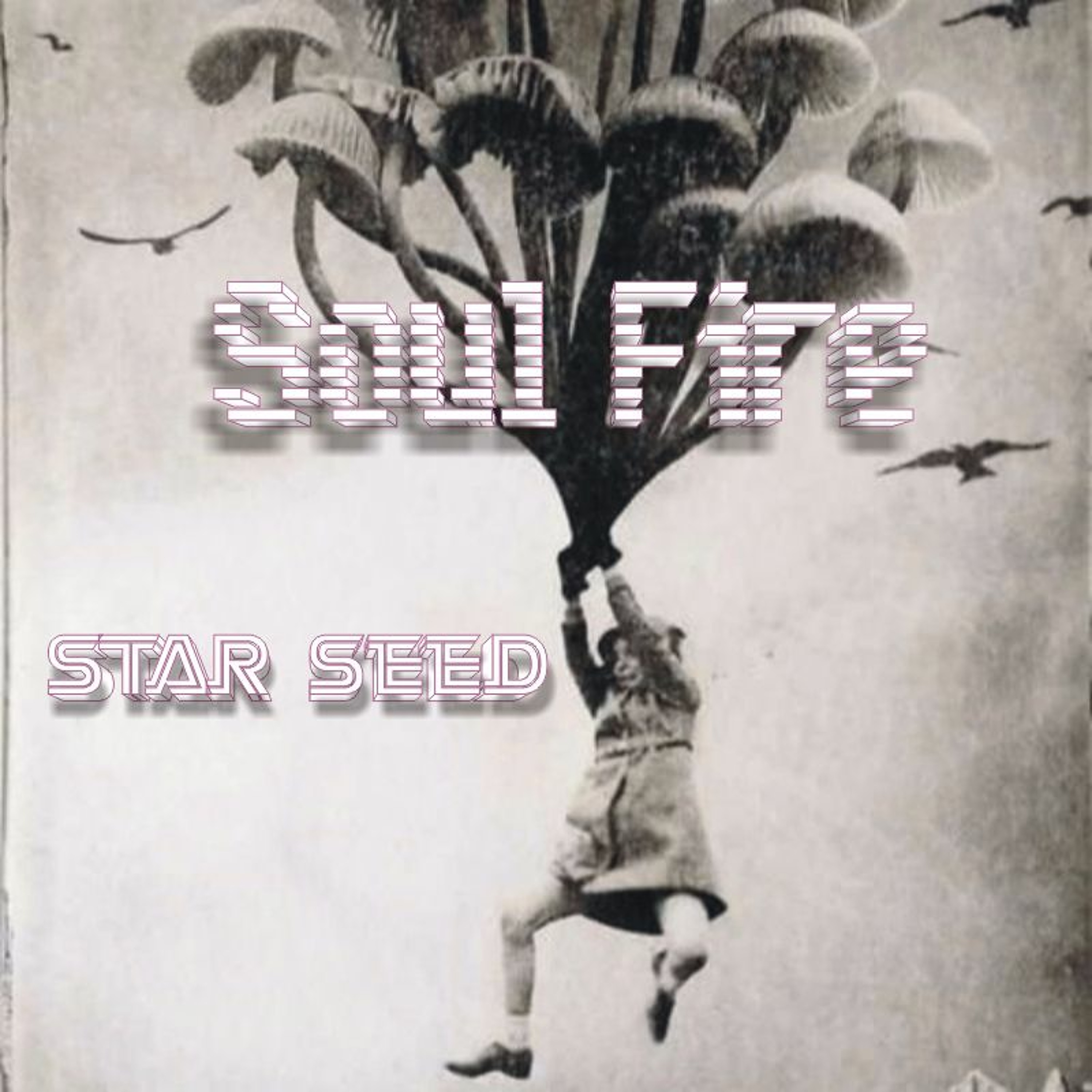 Toro - Soul Storm Hard Sht episode artwork