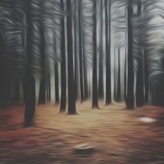 01 The Back Of A B Tch