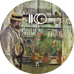 B1.Dragutesku - Negruzzi