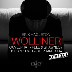 Wolliner (CamelPhat Remix)