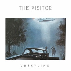 The Visitor
