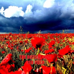 RED FIELD