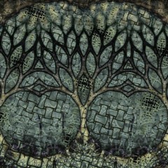Have you ever been lost in the Forest?