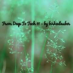 From Deep To Tech Vol. 11 - by birkenlauber