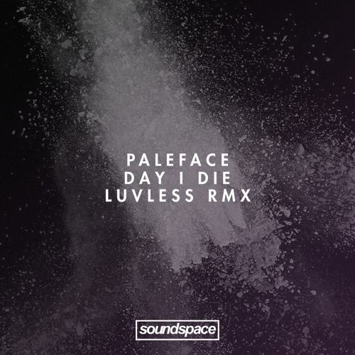 PREMIERE: Paleface - Day I Die (Luvless Remix)