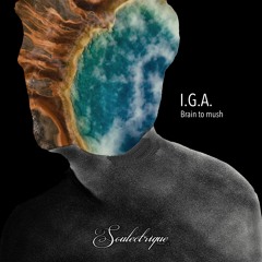 slq015