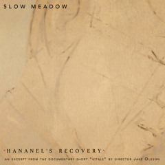 Hananel's Recovery (Free Download)