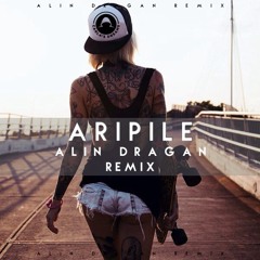 Carla's Dreams - Aripile (Alin Dragan Remix)