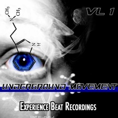 Billy Roger - No Wifi (Original Mix)