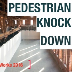 Pedestrian Knockdown Mixdown