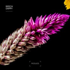 REECH - Dappy