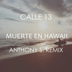 Calle 13 - Muerte En Hawaii (Anthony S. Remix)